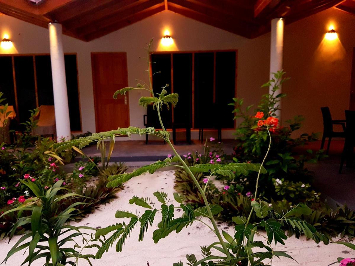 Thoddoo Beach Holiday Exterior photo