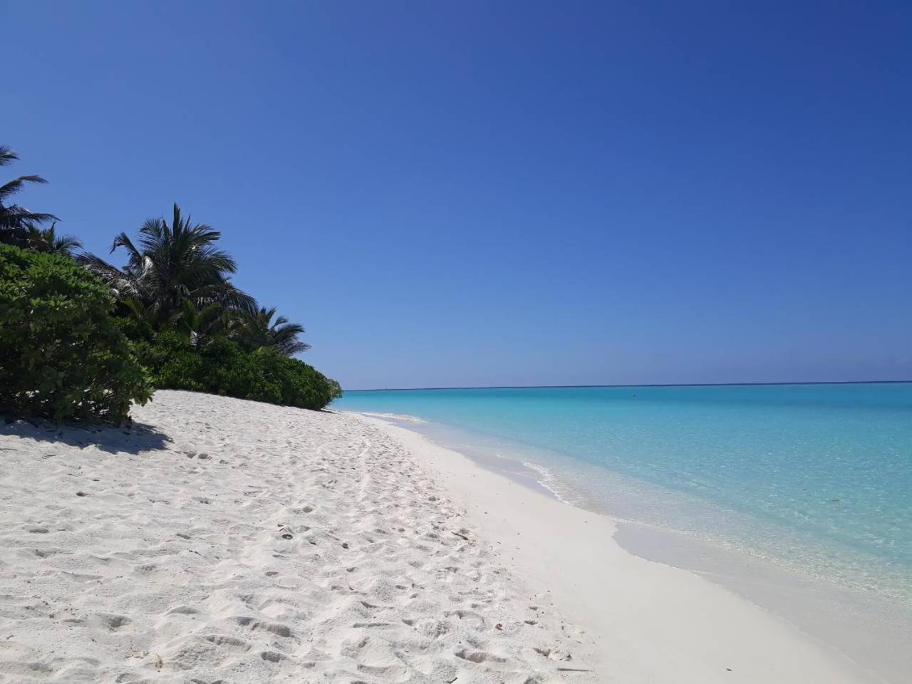 Thoddoo Beach Holiday Exterior photo