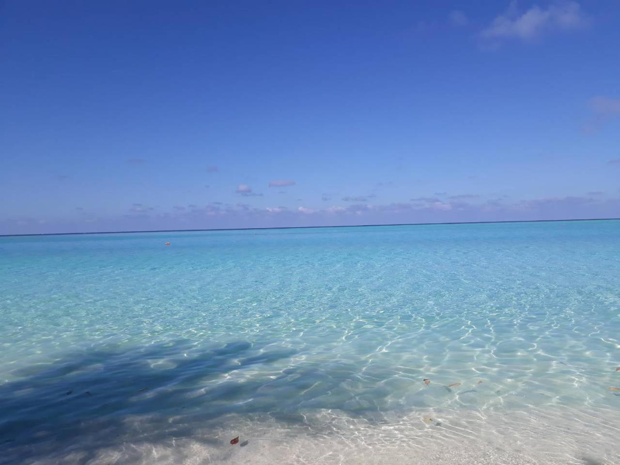 Thoddoo Beach Holiday Exterior photo