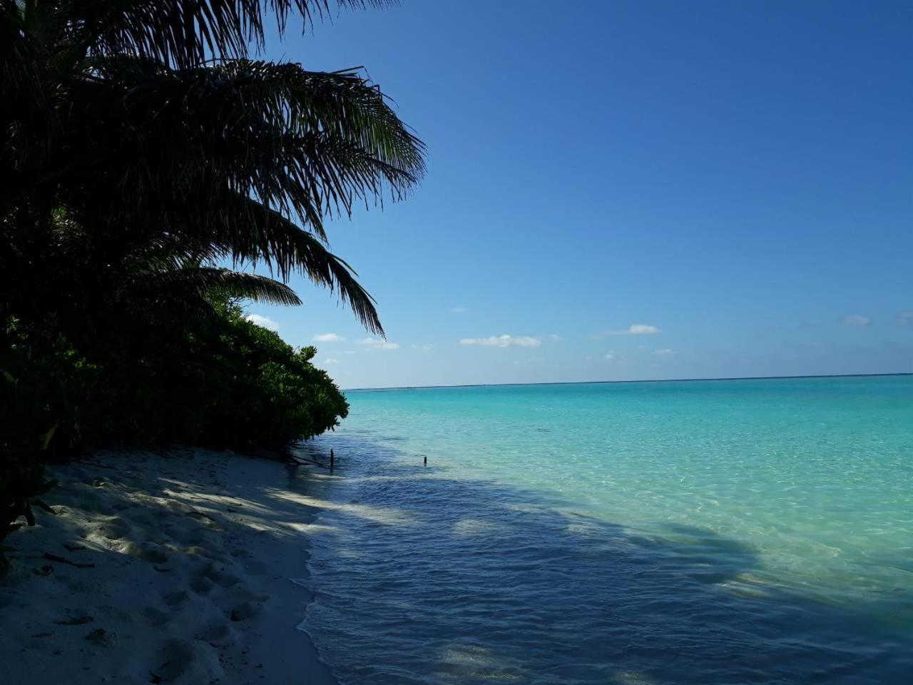 Thoddoo Beach Holiday Exterior photo